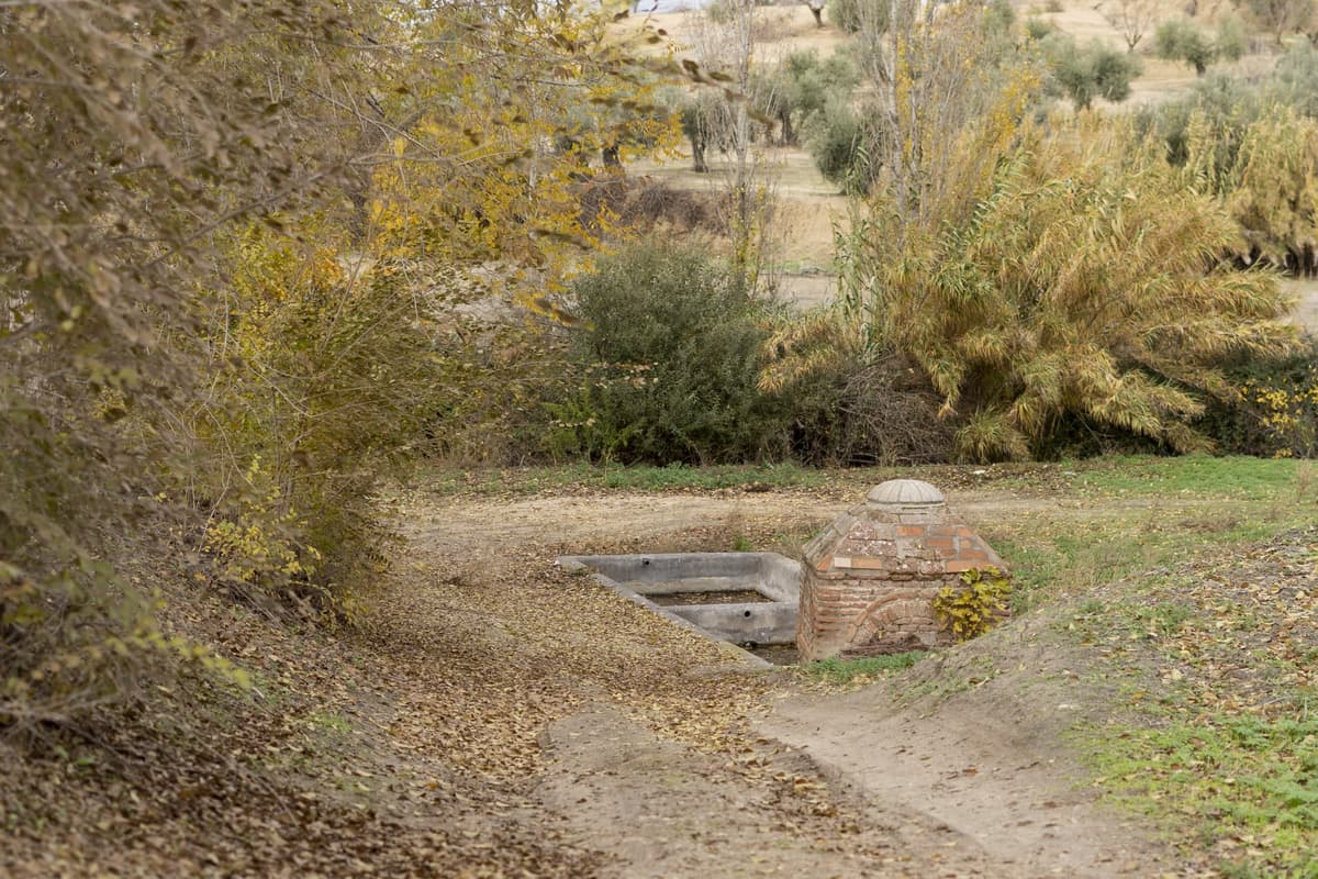 Paraje de la Fuente el Albañal - Imagen 1